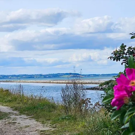 Σπίτι διακοπών 8466-ebeltoft-gasehagevej-12-h